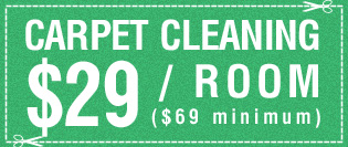 Carpet Cleaning $29 / Room